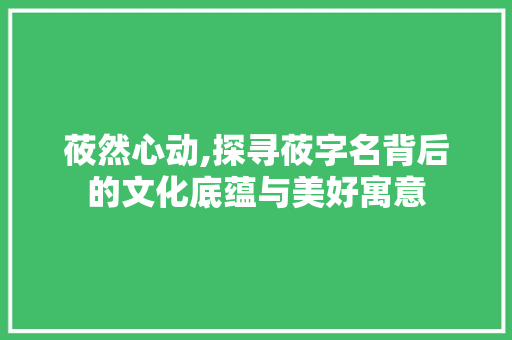 莜然心动,探寻莜字名背后的文化底蕴与美好寓意