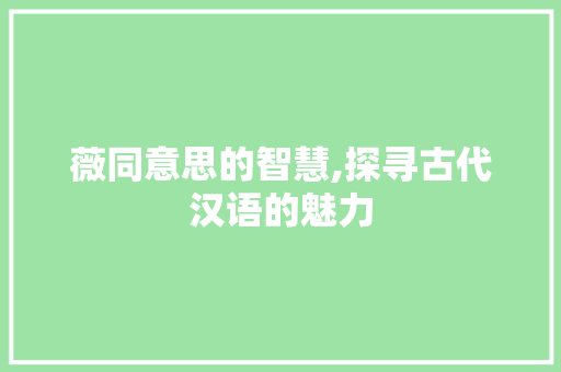 薇同意思的智慧,探寻古代汉语的魅力 个人简历
