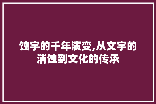 蚀字的千年演变,从文字的消蚀到文化的传承 个人简历