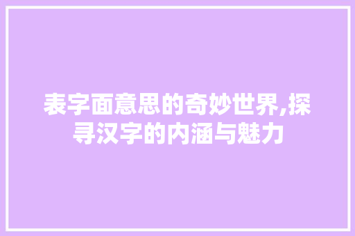 表字面意思的奇妙世界,探寻汉字的内涵与魅力