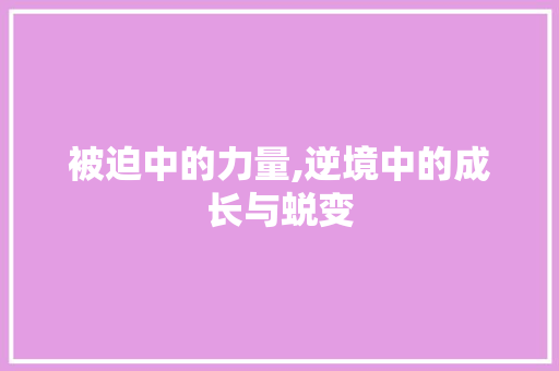 被迫中的力量,逆境中的成长与蜕变