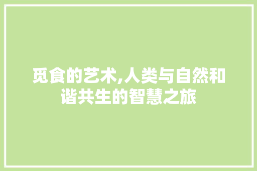 觅食的艺术,人类与自然和谐共生的智慧之旅
