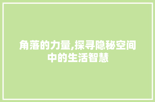 角落的力量,探寻隐秘空间中的生活智慧
