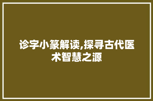 诊字小篆解读,探寻古代医术智慧之源