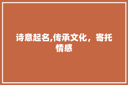诗意起名,传承文化，寄托情感