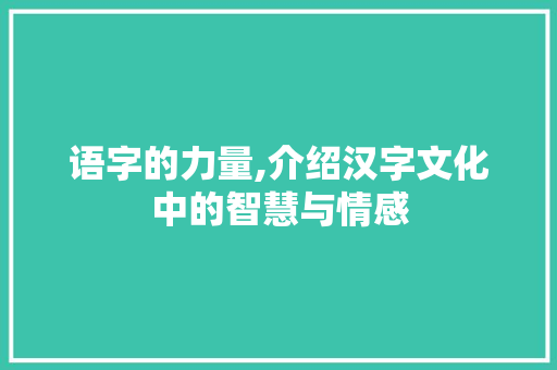 语字的力量,介绍汉字文化中的智慧与情感