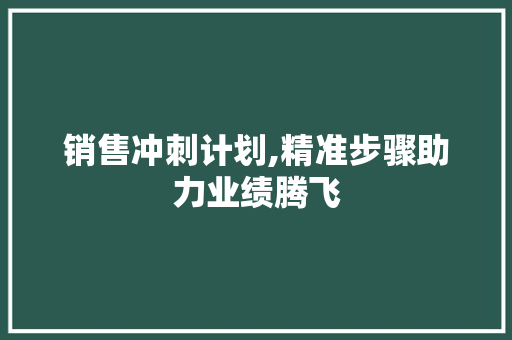 销售冲刺计划,精准步骤助力业绩腾飞 名人名言