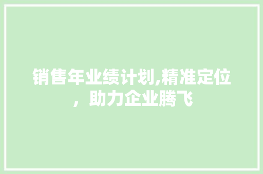 销售年业绩计划,精准定位，助力企业腾飞