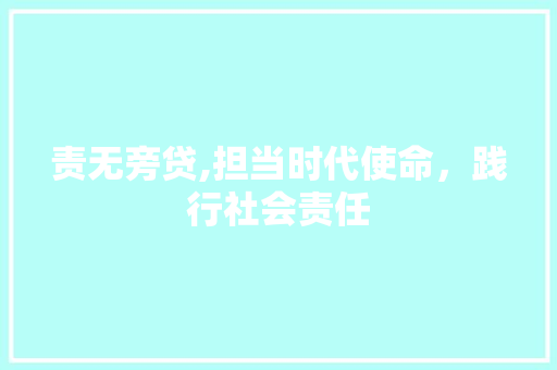 责无旁贷,担当时代使命，践行社会责任