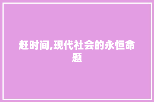 赶时间,现代社会的永恒命题