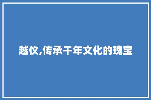 越仪,传承千年文化的瑰宝 工作总结