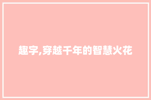 趣字,穿越千年的智慧火花 成语大全