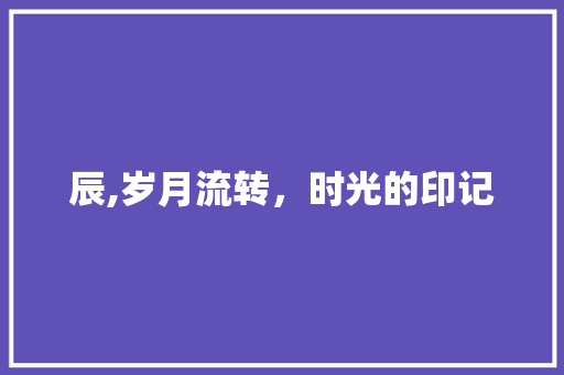 辰,岁月流转，时光的印记