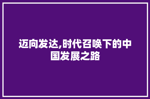 迈向发达,时代召唤下的中国发展之路 工作总结