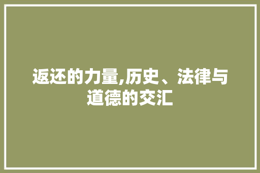 返还的力量,历史、法律与道德的交汇