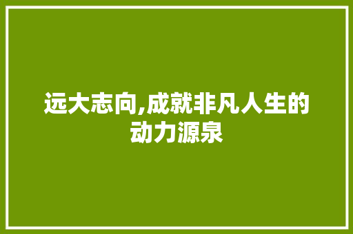 远大志向,成就非凡人生的动力源泉 工作总结