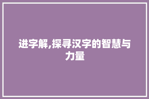 进字解,探寻汉字的智慧与力量