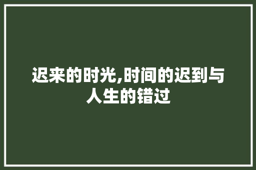 迟来的时光,时间的迟到与人生的错过 工作计划