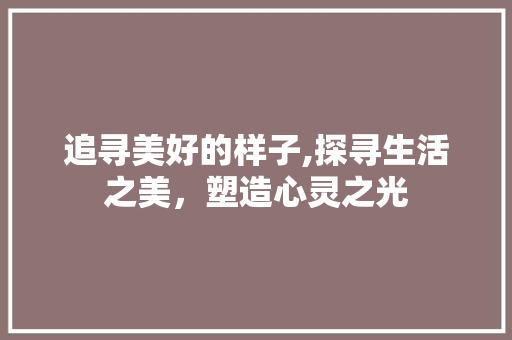 追寻美好的样子,探寻生活之美，塑造心灵之光