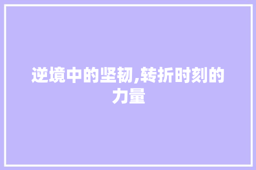 逆境中的坚韧,转折时刻的力量