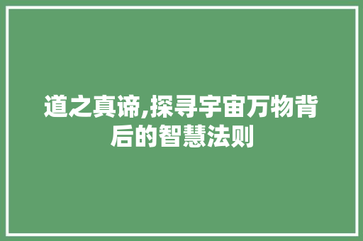 道之真谛,探寻宇宙万物背后的智慧法则