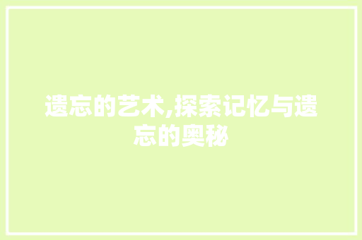 遗忘的艺术,探索记忆与遗忘的奥秘