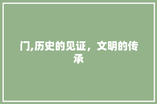 门,历史的见证，文明的传承