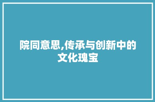 院同意思,传承与创新中的文化瑰宝