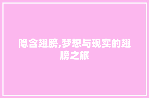 隐含翅膀,梦想与现实的翅膀之旅