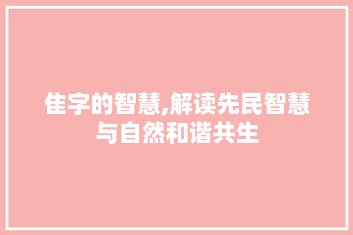 隹字的智慧,解读先民智慧与自然和谐共生