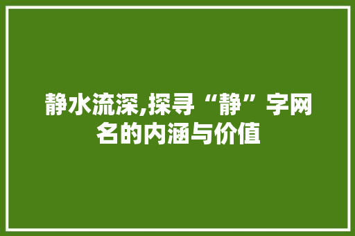 静水流深,探寻“静”字网名的内涵与价值