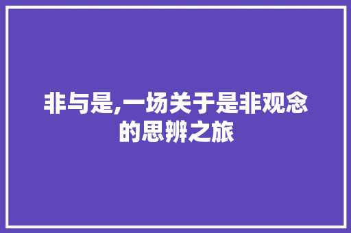 非与是,一场关于是非观念的思辨之旅