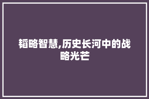 韬略智慧,历史长河中的战略光芒