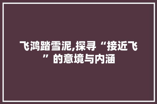 飞鸿踏雪泥,探寻“接近飞”的意境与内涵 个人简历