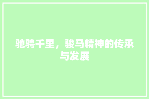 驰骋千里，骏马精神的传承与发展
