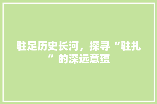 驻足历史长河，探寻“驻扎”的深远意蕴 个人简历
