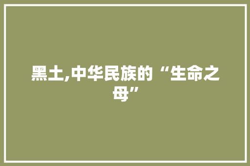 黑土,中华民族的“生命之母”