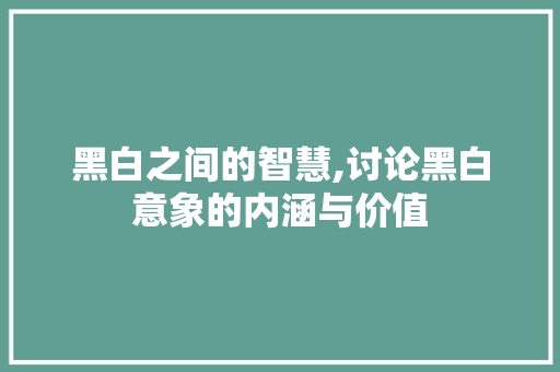 黑白之间的智慧,讨论黑白意象的内涵与价值