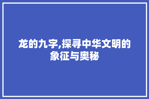 龙的九字,探寻中华文明的象征与奥秘