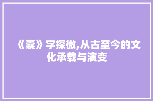 《囊》字探微,从古至今的文化承载与演变