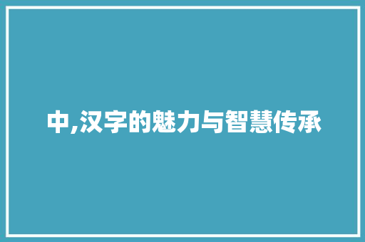 中,汉字的魅力与智慧传承