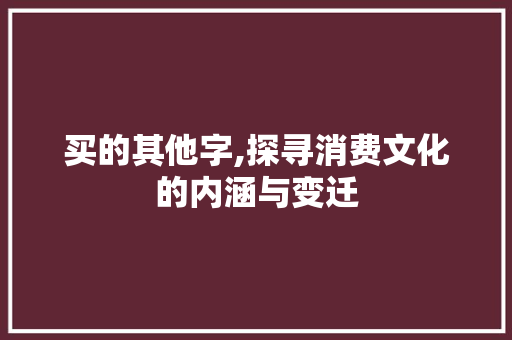 买的其他字,探寻消费文化的内涵与变迁