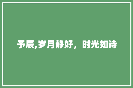 予辰,岁月静好，时光如诗