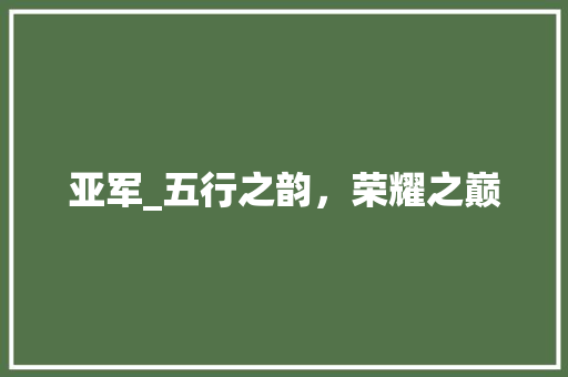 亚军_五行之韵，荣耀之巅 工作计划