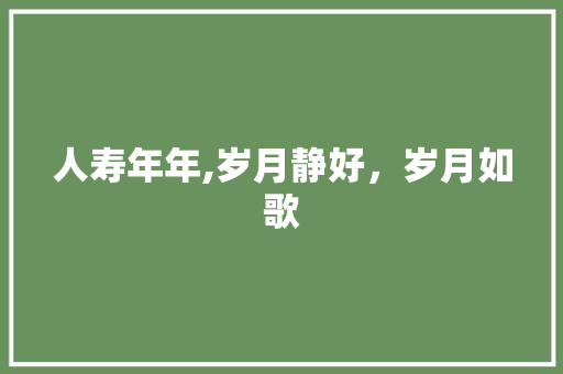 人寿年年,岁月静好，岁月如歌
