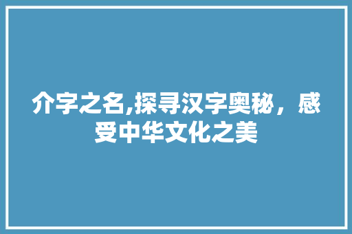 介字之名,探寻汉字奥秘，感受中华文化之美 成语大全
