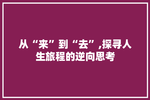 从“来”到“去”,探寻人生旅程的逆向思考