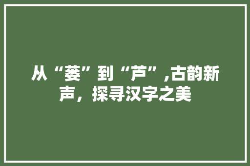 从“蒌”到“芦”,古韵新声，探寻汉字之美 个人简历