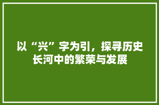 以“兴”字为引，探寻历史长河中的繁荣与发展