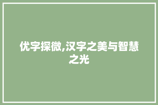 优字探微,汉字之美与智慧之光